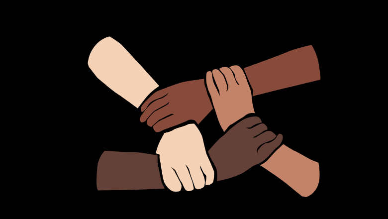 Evaluate the Team's Cultural Fit